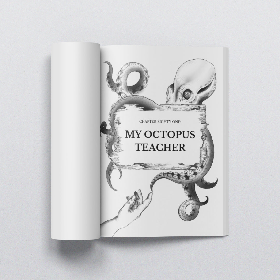 My Crazy Vegan Journey Book